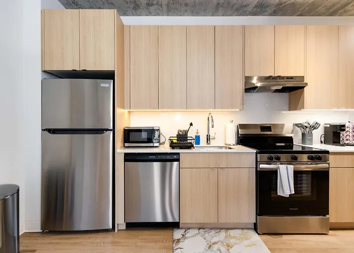 Apartamento South Loop Rooftop With In And Out Parking 6 Chicago