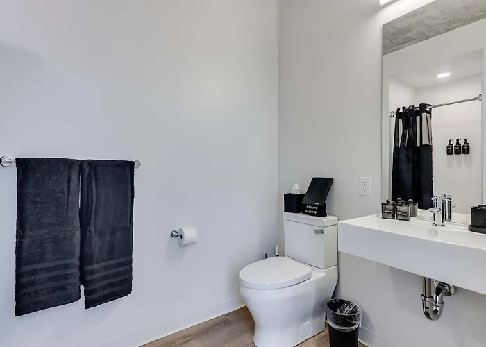 Apartamento South Loop Rooftop With In And Out Parking 6 *