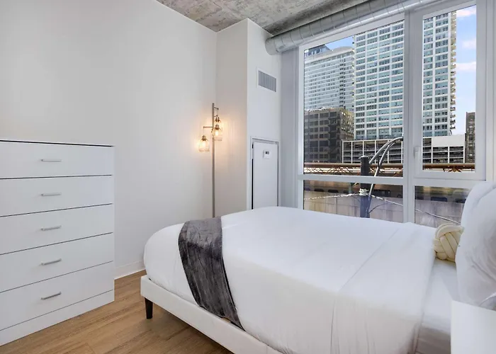 South Loop Rooftop With In And Out Parking 6 Apartamento Chicago