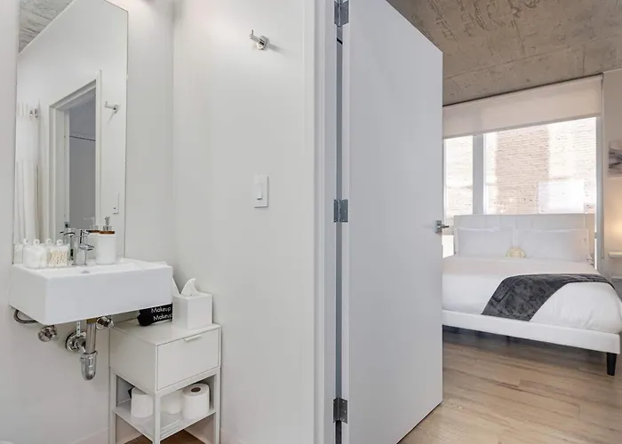 South Loop Rooftop With In And Out Parking 6 Apartamento Chicago