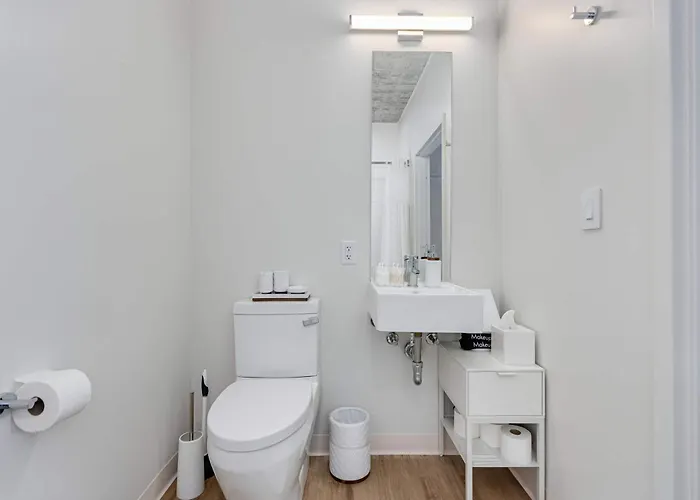 Apartamento South Loop Rooftop With In And Out Parking 6 Chicago