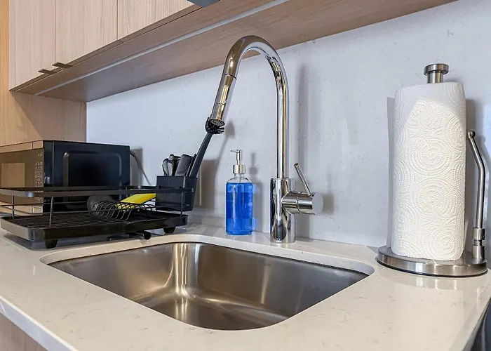 Apartamento South Loop Rooftop With In And Out Parking 6 *