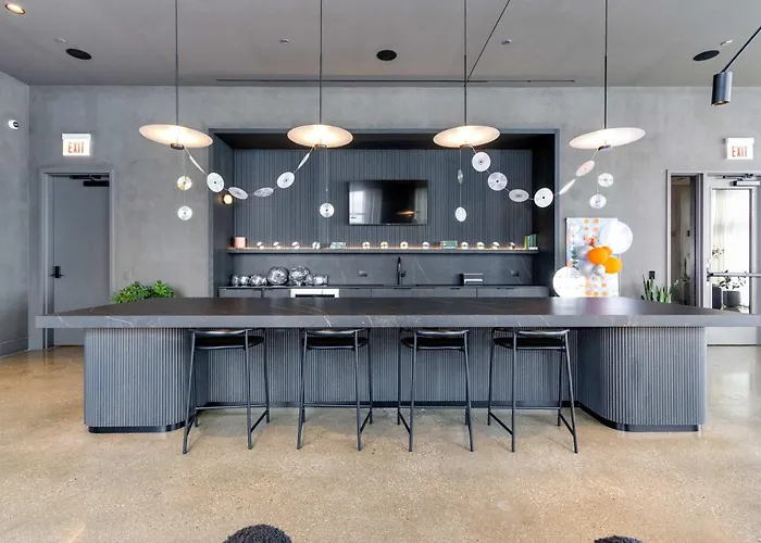 South Loop Rooftop With In And Out Parking 6 Apartamento Chicago